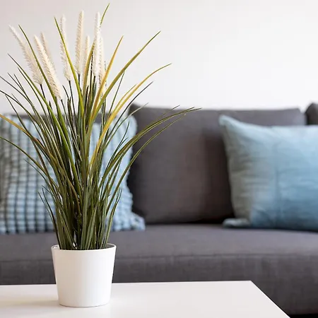 Home2book Sunny Terrace Pool アパート コスタ・カルマ